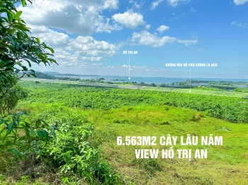 Đất view hồ Trị An thích hợp đầu tư du lịch mô hình Glamping