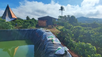 Rẫy cà phê Đồng Tiến Đắk Nia nay là phường Đông Gia Nghĩa