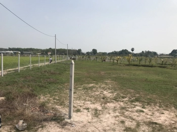 BÁN LÔ ĐẤT 964M2 TỈNH LỘ 7 – CỦ CHI CHƯA TỚI 2TRIỆU/M2