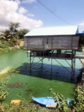 GIẢM GIÁ SHOCK !! Sở hữu ngay lô đất đẹp cho anh chị muốn đầu tư với giá cực rẻ