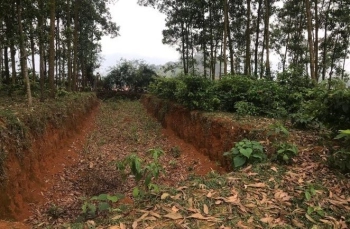 Chính chủ dồn tiền về phố cần để lại cho anh chị em thiện chí mảnh đất mặt đường Quốc Lộ 12B đoạn qua Yên Nghiệp, Lạc Sơn, Hòa Bình.