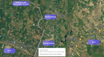 Chủ Kẹt Tiền Để Lại Miếng Vườn 4sào5 Với Giá Ngộp