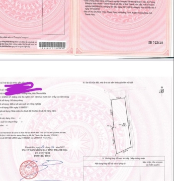 CHÍNH CHỦ BÁN GẦN 4 SÀO ĐẤT HOẰNG HÓA THANH HÓA GIÁ RẺ