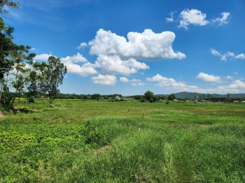 BÁN ĐẤT QUẢNG NAM – GIÁ 190 TRIỆU