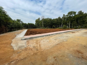  Bán đất giá rẻ