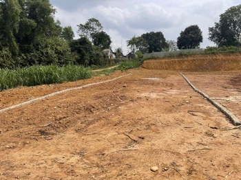 Cần Bán đất diện tích 179m2  giá 350 Triệu Nghĩa Đàn ,Nghệ An