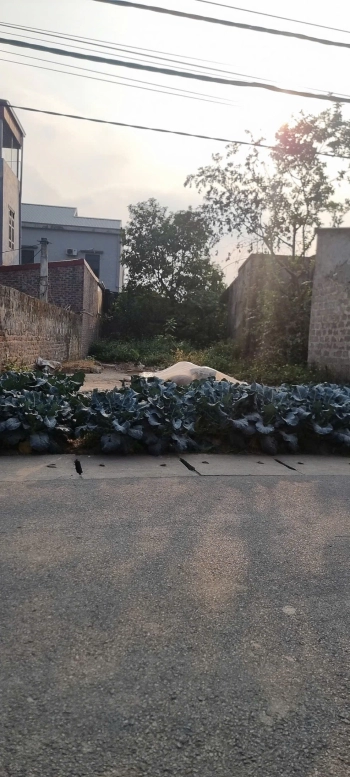 Chính chủ cần bán đất thổ cư MT 5m tại xã Cao Thắng