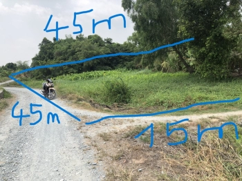 Bán đất trồng cây lâu năm dt 1186m2, giá 2.7ty,