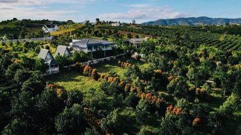 LÔ ĐẤT 2985M2 HƠN 800M THỔ CƯ THÔN HOÀN KIẾM 3 XÃ NAM HÀ. GIÁ BÁN 3,2 TỶ