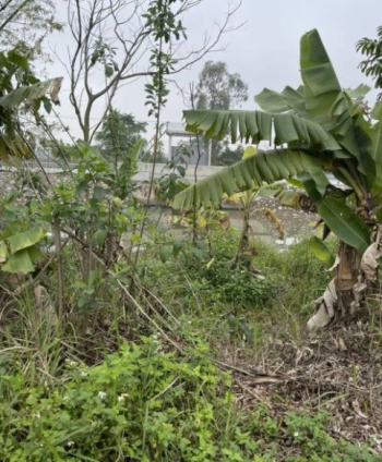 Minh Khai Hưng Hà Thái Bình Gần Bệnh Viện Đa Khoa