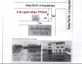 Bán gấp 1020m2 nhà đất phân lô xã Thái Hà, Thái Thụy, Thái Bình - Có bể bơi, sân vườn