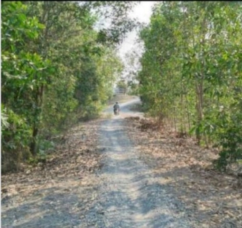 Ket tiền bán gấp 25.000m2 đất vườn, đường 7m , ở thạnh hóa, long an, Gía 140tr/1.000m2