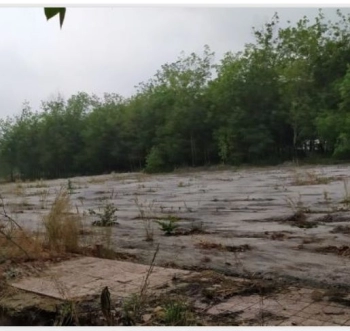 Đất cách mặt tiền ĐT 750 chỉ 300m đường bê tông giá 780tr, sổ sẵn