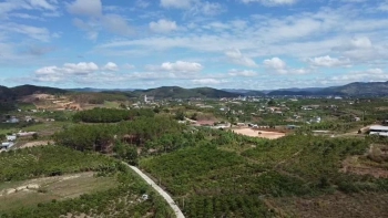 Bán nhanh 2 lô đất tại Gia Lâm 2000m2 giá rẻ như cho