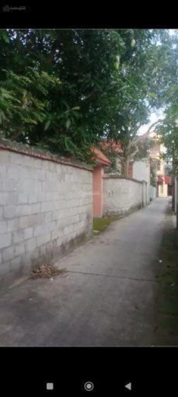 Chủ cần bán đất Lương Tài, Bắc Ninh. 497m2, đường ô tô, lô góc, mặt tiền 20m. Giá 13.5tr/m