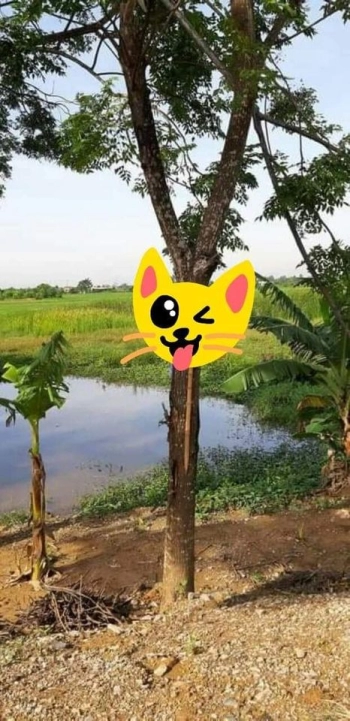 Bán nhanh lô đất xã Xuân Lộc