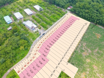 Đất nền Lộc Thành - Lộc Ninh - Bình Phước