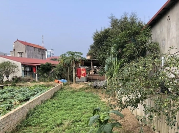 BÁN GẤP LÔ ĐẤT ĐẸP VỚI DIỆN TÍCH 116M2