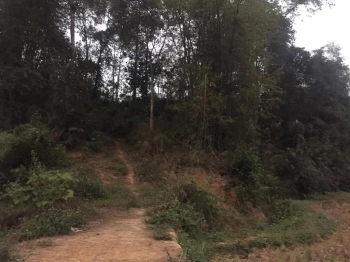 Bán 1700m2 đất trồng cây lâu năm xã vĩnh quang