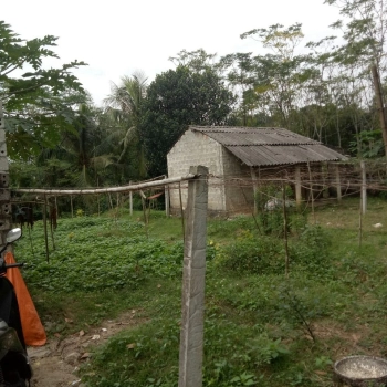 Bán nhanh lô đất thổ cư diện tích lớn xã Vạn Thiện