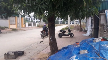 Bán lô đất khu phố Cường Thịnh, Quảng Cư