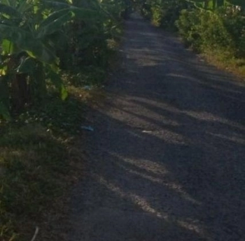 Bán Đấtmặt Tiềnđường Nhựa Xe Tải Vi Vu 46X22 Có Bờ Kè