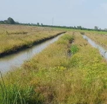 Kẹt vốn mần ăn cần bán gấp