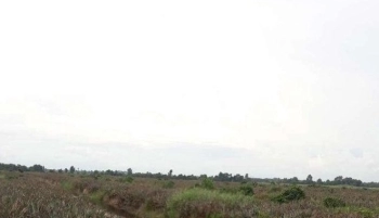 Bán đất xã thạnh tân, huyện tân phước