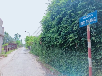 Mặt đường Đức Thắng- Đồ Sơn- Hải Phòng chỉ 16 tr/m