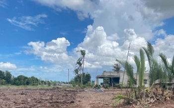 BÁn Đất 1875m2 Xã Tân Thạnh