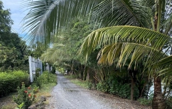 Bán 7980M2 Đất Mặt Tiền Tình Lộ 865 Giá Đầu Tư