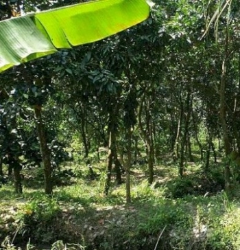 CẦN SANG NHƯỢNG GẤP LÔ ĐẤT XÃ THIỆN TRUNG