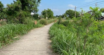 Đất Vườn 1.000M² (19X25) 2 Mặt Tiền đường Xe Hơi