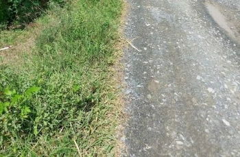 Bán 2.637m2 đất vườn dừa