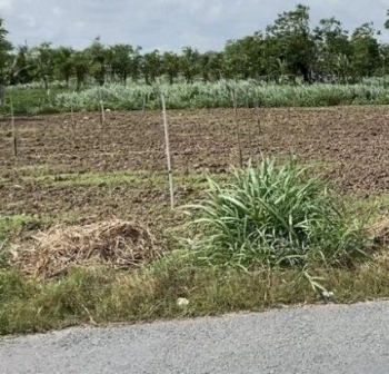 Cần bán lô đât mặt tiền đường huyện lộ 07