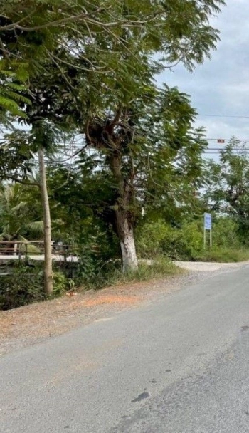 Đất Mặt Tiền Tl862 Tại Ấp Chợ-Tân Thành- Giá Rẻ