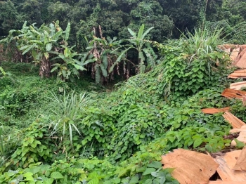 ĐẤT NỀN PHƯỜNG DUYỆT TRUNG 