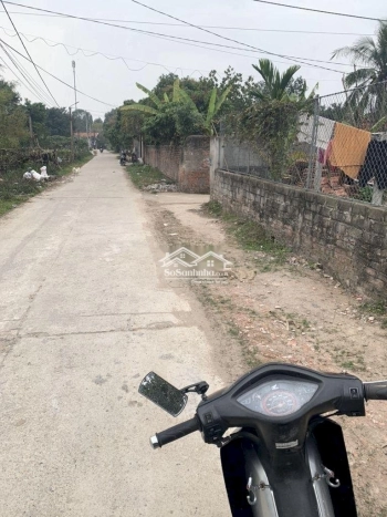 bán đất nguyên lý lý nhân tỉnh hà nam