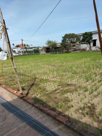 Đất ở giá rẻ dành cho anh chị thu nhập vừa , có thể đầu tư kinh doanh