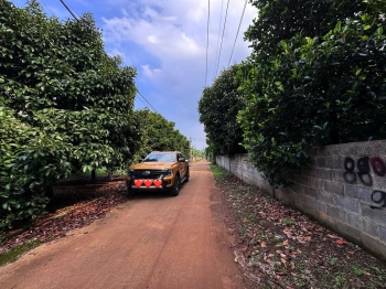 Chính chủ cần bán nhanh lô đất ngay nút giao Dầu Giây