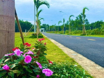 Bán đất đẹp tại ĐT 749A, Minh Thạnh, Dầu Tiếng, 350 triệu, 450m2