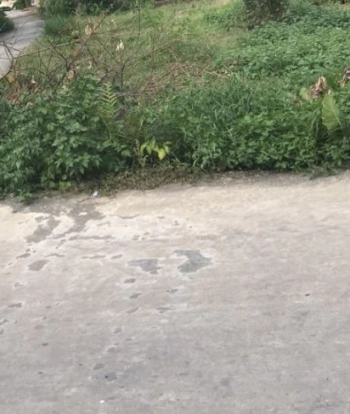 Cần tiền bán gấp lô đất 375m2 tại thôn Hành Lạc, tt Như Quỳnh, Hưng Yên giá đầu tư 54tr/m2