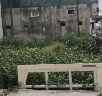 Mảnh đất hiếm Ba Đình, 115m2, mặt ngõ to hơn phố, vỉa hè rộng giá ổn