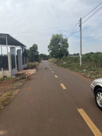 Chính chủ bán lô đất đẹp, mặt tiền đường nhựa Long Tân, Đất Đỏ, giá rẻ nhất khu vực