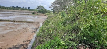 Cần bán lô đất rẫy chính chủ