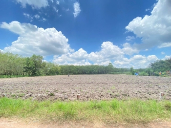 CƠ HỘI VÀNG ĐẦU TƯ ĐẤT TÂN CHÂU 420M VỚI 699TR