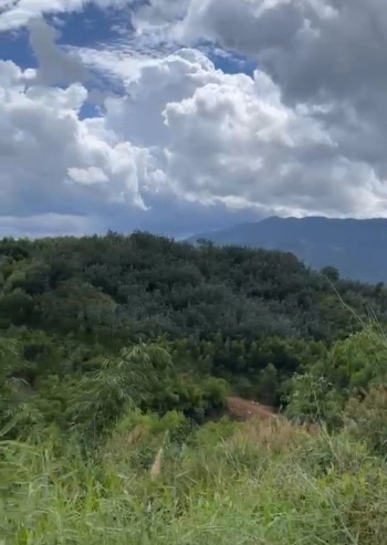 ần Sang Nhượng Đất Dự Án Gía Siêu Đầu Tư Tại Xã Rô Men Huyện Đam Rông, Lâm Đồng