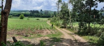 Cần bán gấp lô đát nông nghiệp ở sơn giang sông hinh phú yên