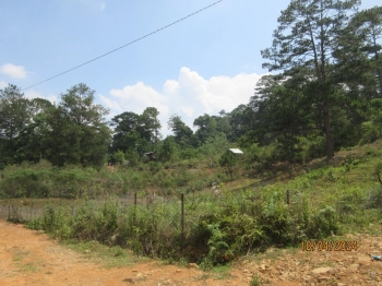 Đất ven đà lạt view suối, xung quanh khu du lịch