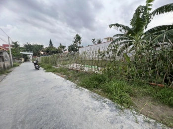 Bán đất thôn Hoàng Lâu Xã Hồng Phong, huyện An Dương, Hải Phòng